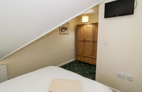 Hen and Chickens - Foto 15