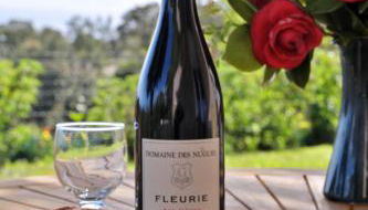 Domaine Punta della Guardia villa panorama maquis et mer, plage à 1,5 Km - Foto 3, Garden, Garden view