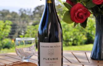 Domaine Punta della Guardia villa panorama maquis et mer, plage à 1,5 Km - Foto 3