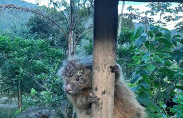 Chalé Pakere Bellavista - visão magnífica do vale e montanhas a mais de mil metros de altitude, wi-fi, sauna, piscina e água de nascente - locação do chalé sem prestação de serviços - Foto 73