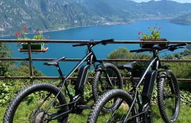 Alice’s House - Foto 13