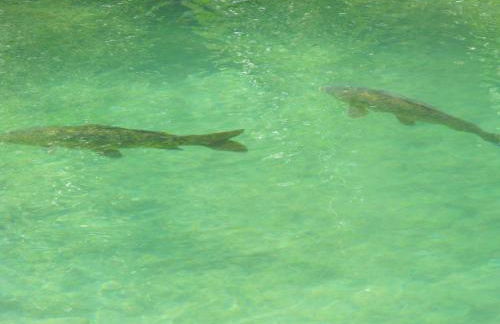 La Posada del Hidalgo de Alarcón - Foto 79