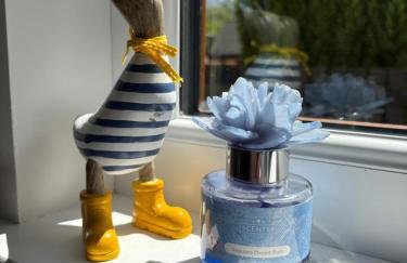 Levenvale Studio - Foto 11