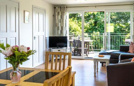 Ta Mill Cottages & Lodges - Meadowview Chalet 4 - Foto 3