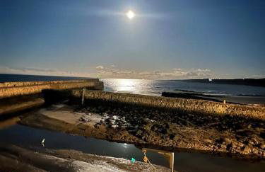 Beach Front Apt 2 Bedrooms 2 Bathrooms St Andrews - Photo 55
