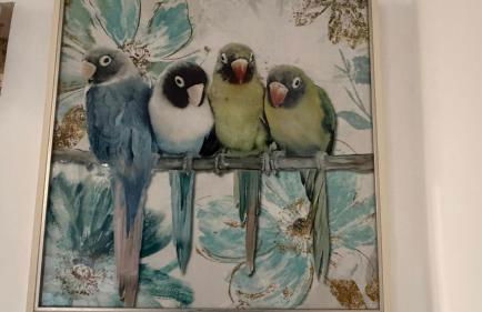 Cabril's Hills Luxe Suites - Foto 41