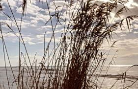 IL BALCONCINO di GR - Foto 45