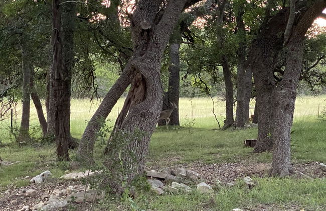 C&C Family Ranch - Foto 59