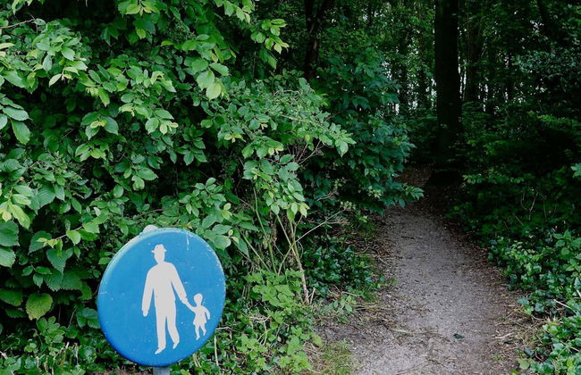 Family Escape Near Keukenhof - Photo 24