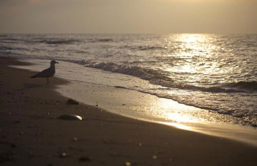 Ferienwohnung Kröpelin - Foto 9