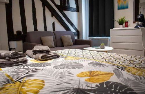 Studio Charmant Confortable TV Centre Ville Louviers - Foto 22