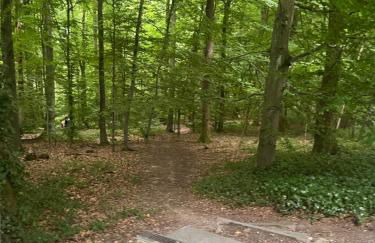 Auszeit direkt am Toelleturm -Barmer Anlagen - Foto 18