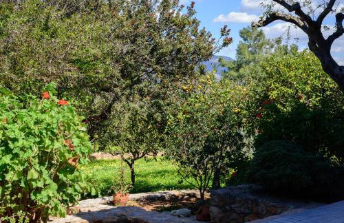 Eleni's House - Photo 37