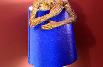 2 Bedroom Apartment - Disc0unts - Parking, Contractors, Group, Family - Foto 18