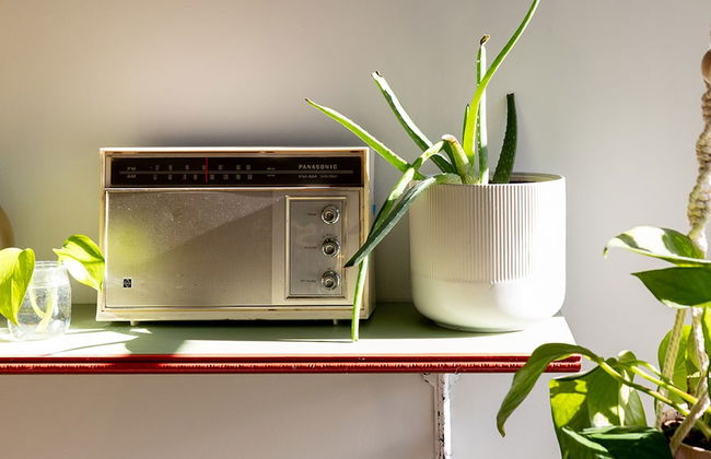 Wyatt's Saloon Guest House 2 - Foto 42