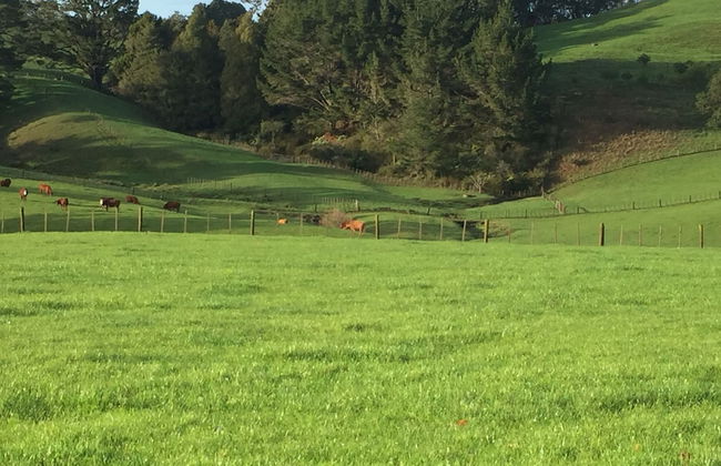 Veld View Bed & Breakfast - Photo 54