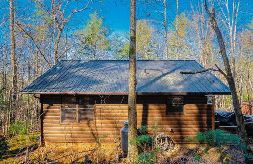 Bluebird Bliss - Foto 33