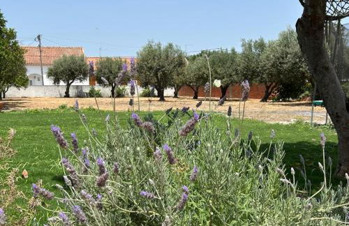 Villa Morena Saltwater Pool & Alentejo Charm - Foto 34