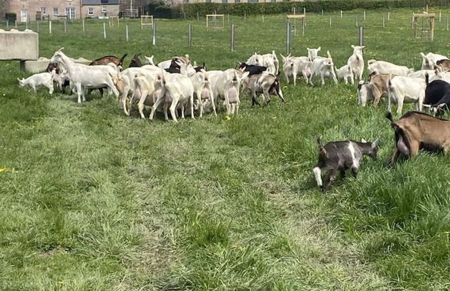 Cosy Holiday Home in Vodelee With Private Garden - Foto 41