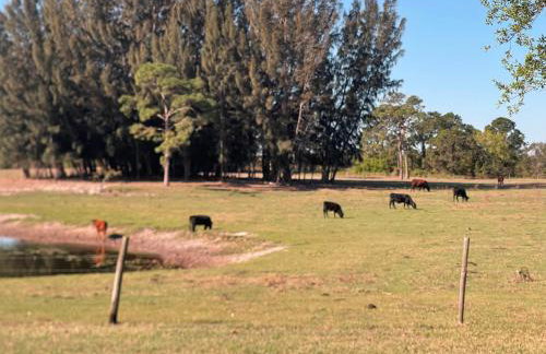 Stylish budget friendly retreat! - Foto 42