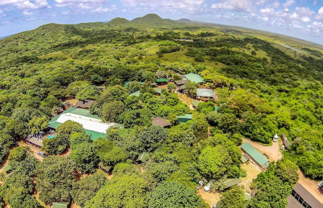 Coral Divers - Foto 24