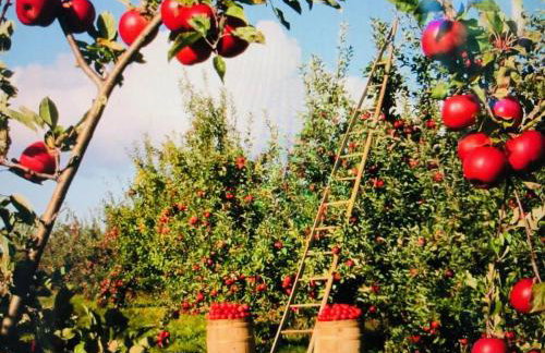 Renovated Retreat with Heated Pool - Foto 48