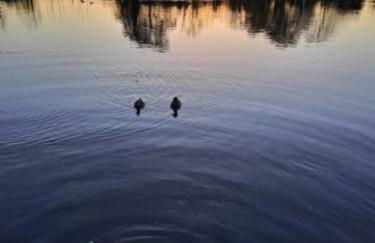 Ferry Lodge Norfolk Broads - Foto 38