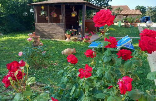 Casa Vacanze La Farfalla di Vittori Fabiola - Foto 18