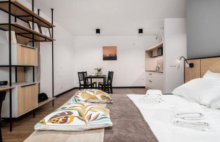 Zamoyskiego, Sun & Snow - Foto 6