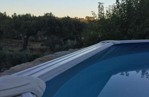 Flor da Ramila - Foto 10