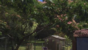 Lachanau Paradis - Photo 3