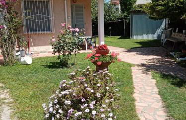 VIA PO MARINA DI CASTAGNETO CARDUCCI - Foto 1