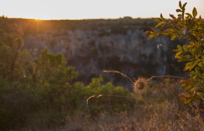 La Ferula Casa Vacanze - Foto 17