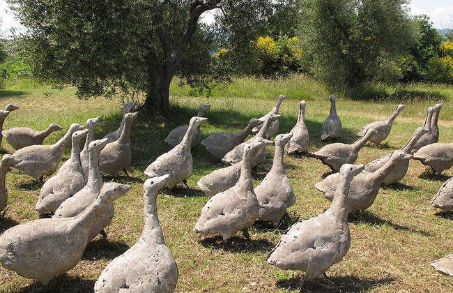 Agriturismo Bio 4 Stagioni - Photo 48