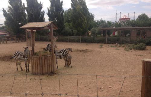 Apartamento Turistico Cigüeña de Arguedas - Foto 42