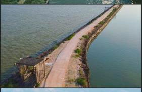 Villa Daria - soggiorno e servizio spiaggia - Foto 28