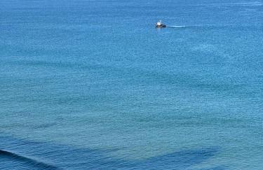 Apartamentos Olga Cantabria 2 - Foto 61