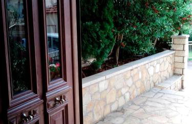 Chrysandra - Foto 42