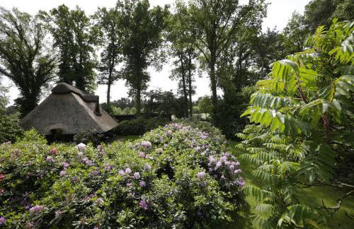 Ferienhaus im Schluh - Foto 6