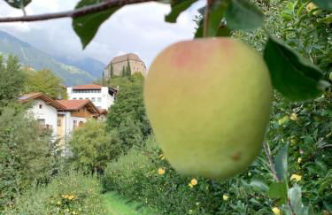 Moar am Ort - Foto 20