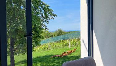 Kuća za odmor Villa Cesarica - Zagreb - Foto 3, Garden