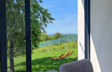 Kuća za odmor Villa Cesarica - Zagreb - Foto 3