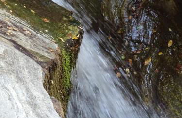 Homer's Guesthouse - Foto 34