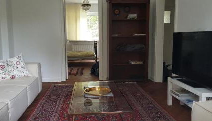 Ganze Wohnung mit Garten (Schwachhausen/Gete) - Foto 2