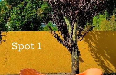 Refúgio das Serras do Porto-Luz&Martins Alojamento - Foto 39