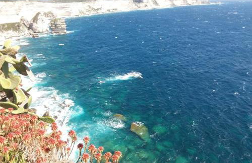 Villa Acqua Doria - Photo 46