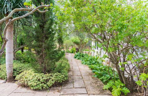 Cas Pilot in Santa Maria del Cam - Foto 96