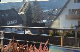 SchwarzwaldNest am See - Foto 9