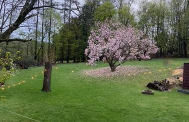 Zen in Narrowsburg Retreat near Town - Foto 71