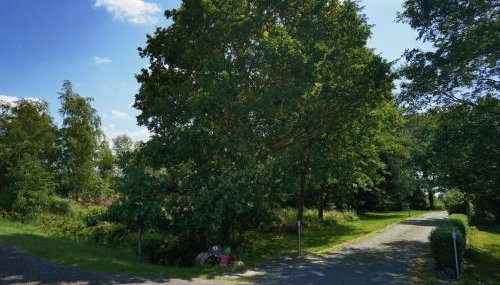 Farmhouse for arrival - Foto 4, Other